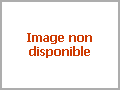F?d?ration des Associations Pour Adultes et Jeunes Handicap?s ...